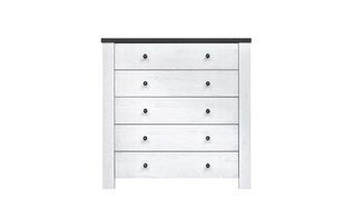 Comoda AMSTERDAM 5S (Frasin / Stejar patat)